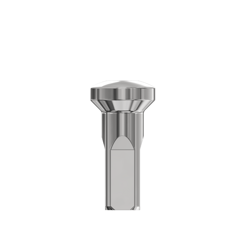 Sapim steel.N Upside down.nipple side.544